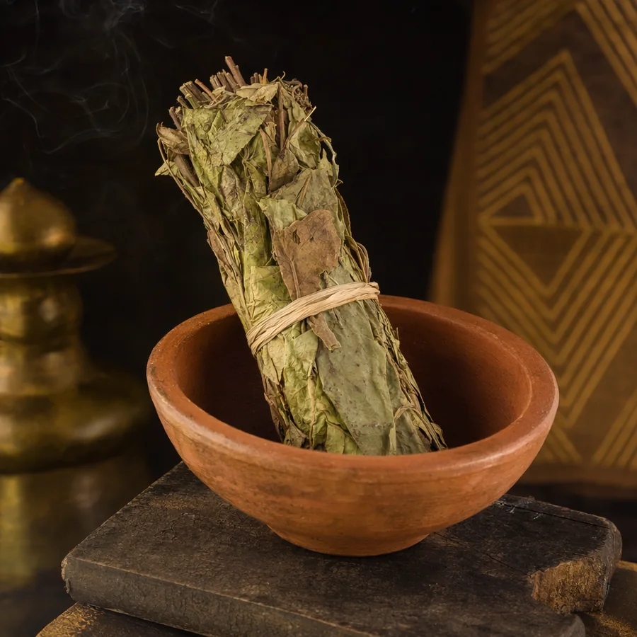 Bouquet de sauge béninoise rituelle dans un bol en terre cuite